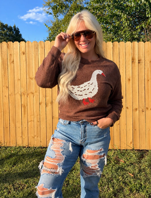 Brown Goose Sweater