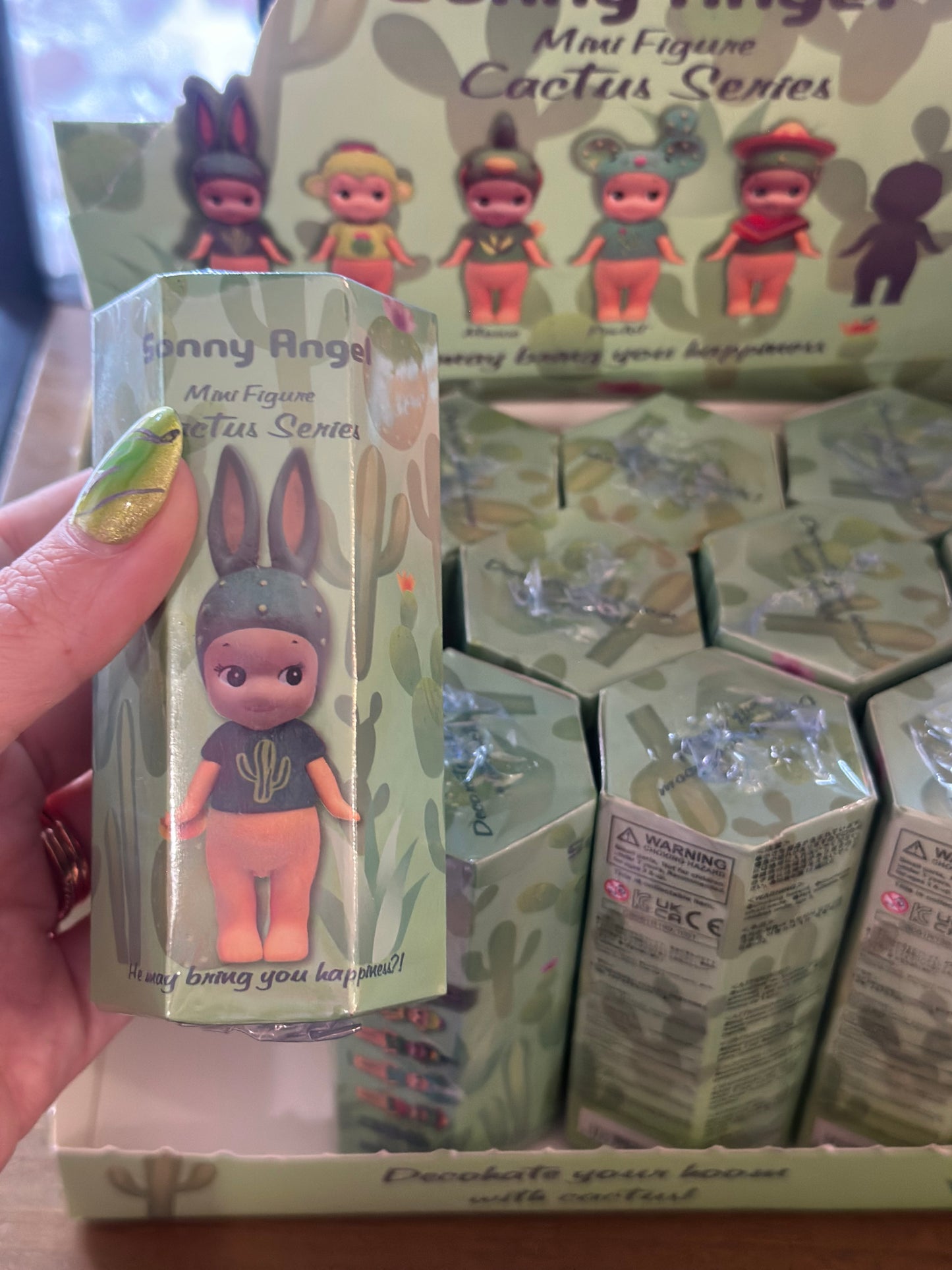 Cactus Series Sonny Angel