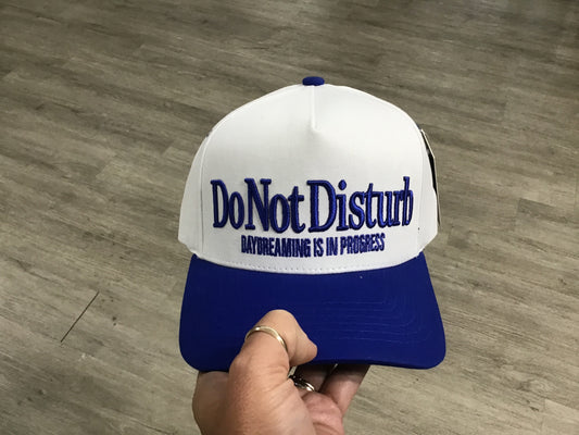 Do Not Disturb// embroidered hat/ Royal