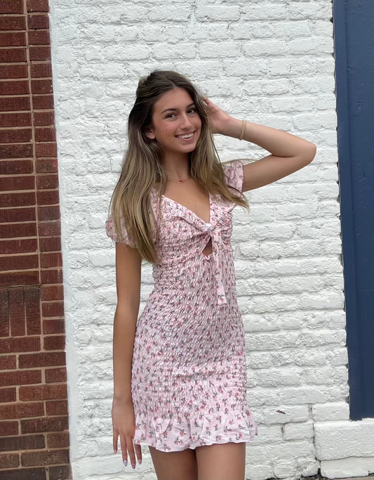California Dreamer Dress // Blush